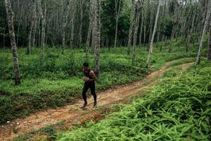 BIB: 
                            <button type="button" onclick="openModal(26339304)" class="btn btn-primary btn-sm float-right btn-popup" data-toggle="modal" data-target=".modal-high-quality">
                        <i class="fas fa-shopping-cart"></i> Add to Cart
                    </button>
                                            <button type="button" onclick="isThisMe(26339304, true)" class="btn btn-success btn-sm float-right btn-popup btn-isme hidden" data-toggle="tooltip" data-placement="bottom" title="นี่คือรูปของคุณใช่ไหม คลิกที่นี่เพื่อเอาเข้าอัลบั้ม">
                        <i class="fas fa-plus"></i> Add to album
                    </button>
                    <button type="button" onclick="isThisMe(26339304, false)" class="btn btn-warning btn-sm float-right btn-popup btn-isnotme hidden">
                        <i class="fas fa-ban"></i> Remove from album
                    </button>